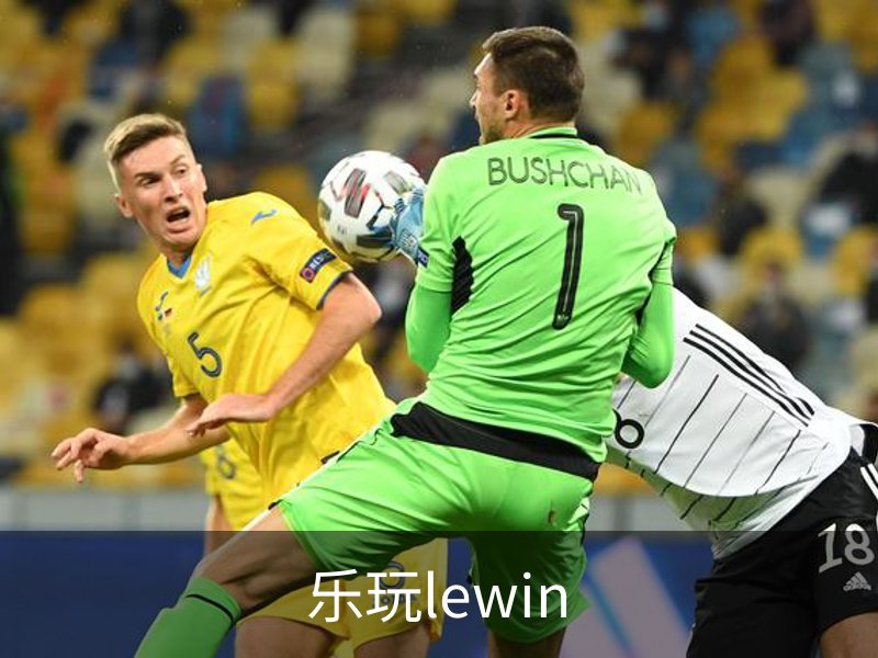 乐玩lewin概况